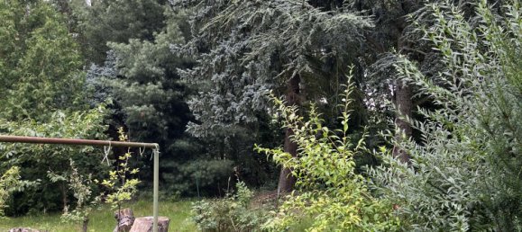 1 bedroom House in Dahme-Spreewald, Germany No. 25236 5