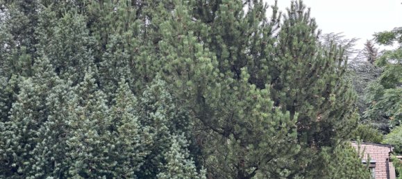 1 bedroom House in Dahme-Spreewald, Germany No. 25236 16