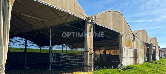 Дом с 4 спальнями в Трезель, Франция № 330936 12