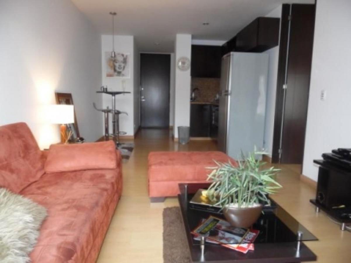 استوديو في Bogota, Colombia رقم 13878