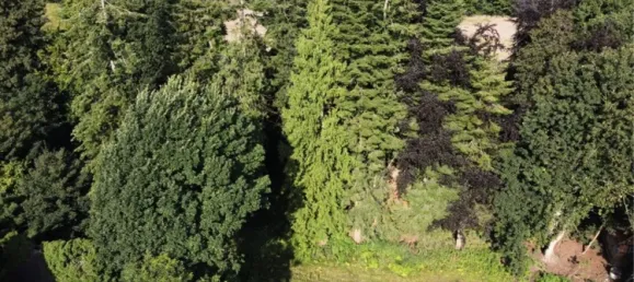 Terreno en Steinfurt, Germany No. 342283 3