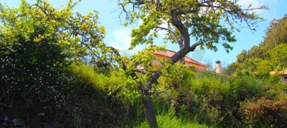 2 bedrooms House in Santa Cruz, Portugal No. 244818 11