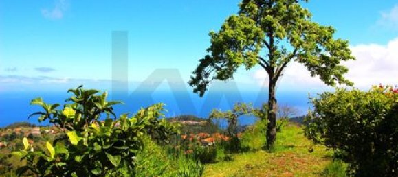 2 bedrooms House in Santa Cruz, Portugal No. 244818 19