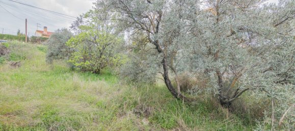 500m² Land in Cullar Vega, Spain No. 172016 13