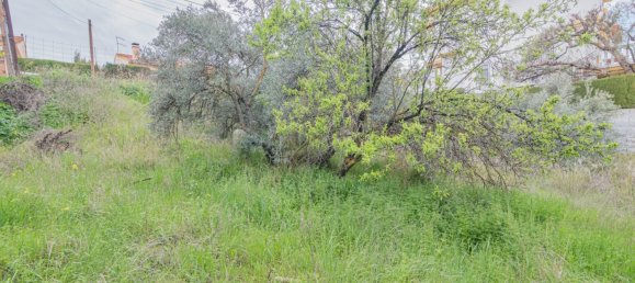 500m² Land in Cullar Vega, Spain No. 172016 12