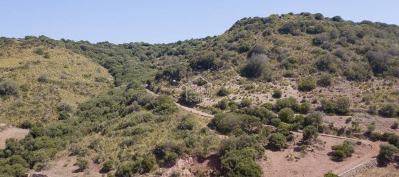 10 bedrooms Finca in Ferreries, Spain No. 170 12