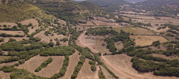 10 bedrooms Finca in Ferreries, Spain No. 170 8