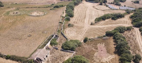 10 bedrooms Finca in Ferreries, Spain No. 170 6