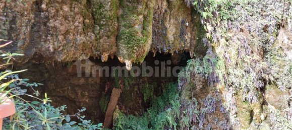 1 Schlafzimmer Wohnung in Cervo, Italy, Nr. 16612 19