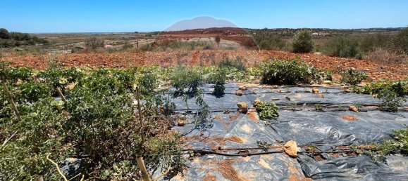 Дом с 4 спальнями в Мешильоейра Гранде, Португалия № 23441 25