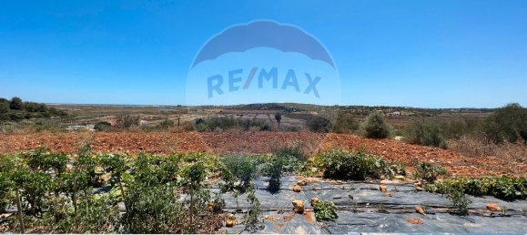 Дом с 4 спальнями в Мешильоейра Гранде, Португалия № 23441 24