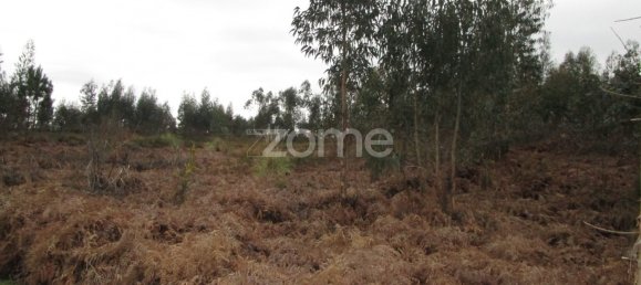 Terrain à Vila Nova de Famalicao, Portugal No. 35738 5
