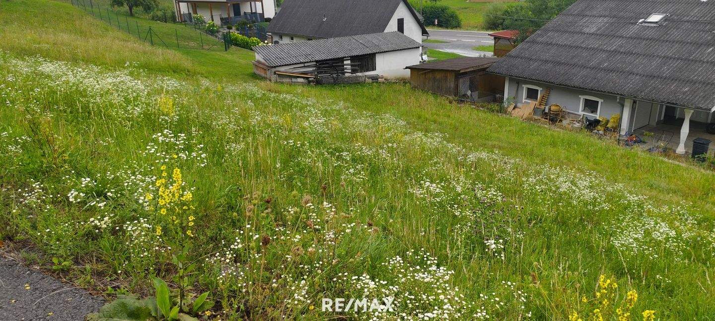  قطعة أرض في Sudoststeiermark, Austria رقم 204245