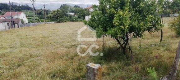 Terrain à Oliveira de Frades, Portugal 3351m² No. 92298 9