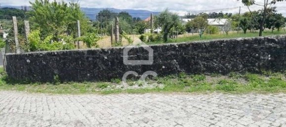 Terrain à Oliveira de Frades, Portugal 3351m² No. 92298 4