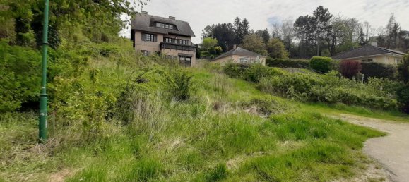 1467m² Land in Harmannsdorf, Austria No. 98900 6