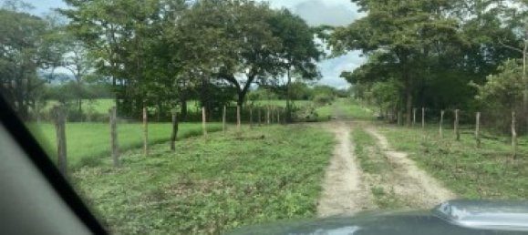 Terrain à Liberia, Costa Rica No. 1463 6