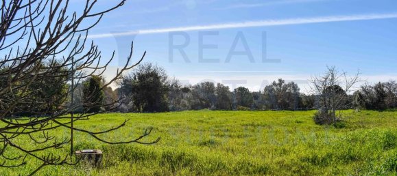 Вилла с 2 спальнями в Ното, Италия № 88304 19