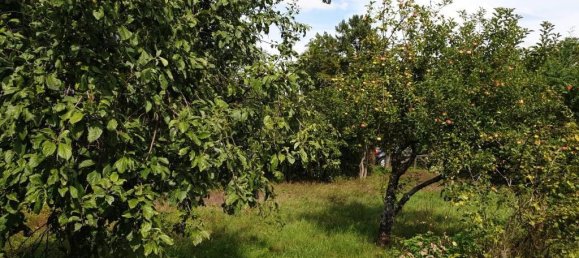 Terrain à Stuttgart, Germany No. 346619 3