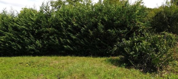 Terrain à Stuttgart, Germany No. 346619 7