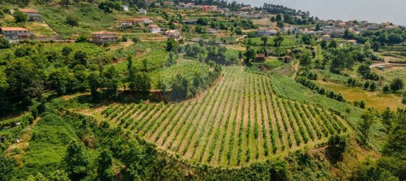 1 Schlafzimmer Haus in Aiao, Portugal, Nr. 43828 15