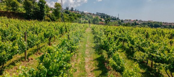 1 Schlafzimmer Haus in Aiao, Portugal, Nr. 43828 17