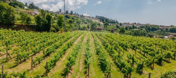 1 Schlafzimmer Haus in Aiao, Portugal, Nr. 43828 16