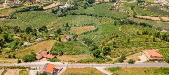 1 Schlafzimmer Haus in Aiao, Portugal, Nr. 43828 11