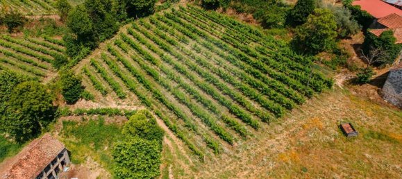 1 Schlafzimmer Haus in Aiao, Portugal, Nr. 43828 19