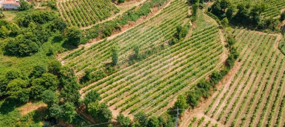 1 Schlafzimmer Haus in Aiao, Portugal, Nr. 43828 18