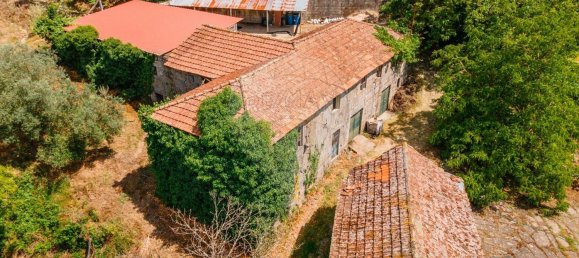 1 Schlafzimmer Haus in Aiao, Portugal, Nr. 43828 5