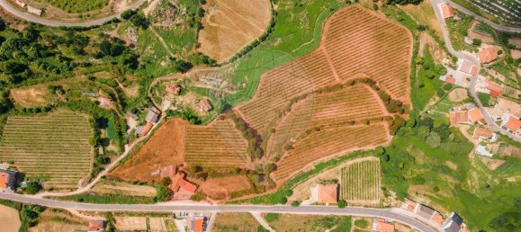 1 Schlafzimmer Haus in Aiao, Portugal, Nr. 43828 9