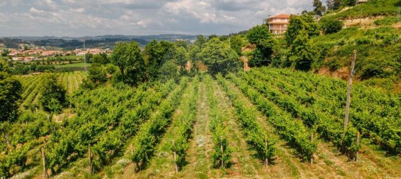 1 Schlafzimmer Haus in Aiao, Portugal, Nr. 43828 14