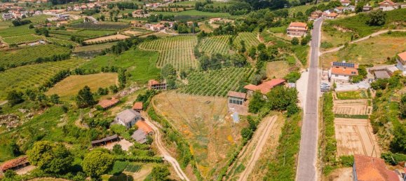 1 Schlafzimmer Haus in Aiao, Portugal, Nr. 43828 12