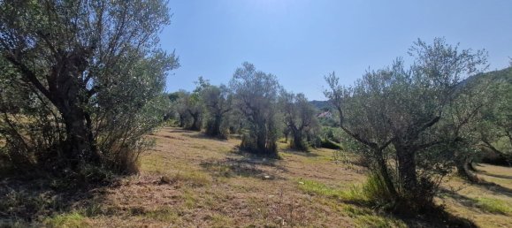 10000m² Land in Castel Madama, Italy No. 295646 6