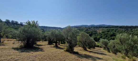 10000m² Land in Castel Madama, Italy No. 295646 11