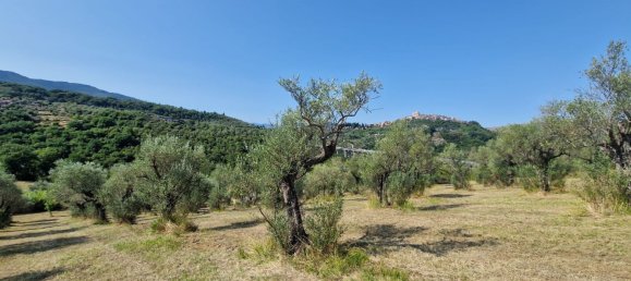 10000m² Land in Castel Madama, Italy No. 295646 7
