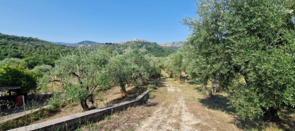 10000m² Land in Castel Madama, Italy No. 295646 13