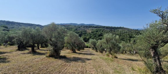 10000m² Land in Castel Madama, Italy No. 295646 9