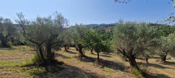 10000m² Land in Castel Madama, Italy No. 295646 5