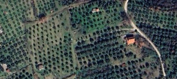 10000m² Land in Castel Madama, Italy No. 295646 15
