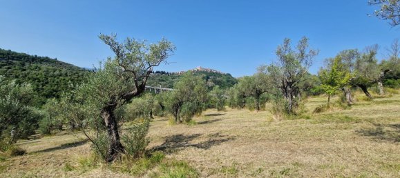 10000m² Land in Castel Madama, Italy No. 295646 8