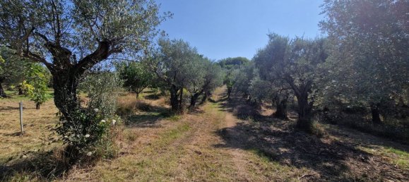 10000m² Land in Castel Madama, Italy No. 295646 14