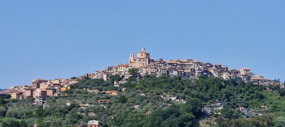 10000m² Land in Castel Madama, Italy No. 295646 3