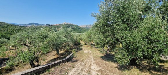 10000m² Land in Castel Madama, Italy No. 295646 2