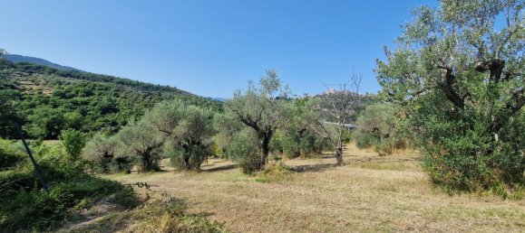10000m² Land in Castel Madama, Italy No. 295646 4