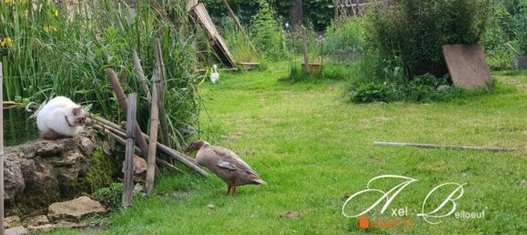 5 bedrooms House in Ain, France No. 310823 13