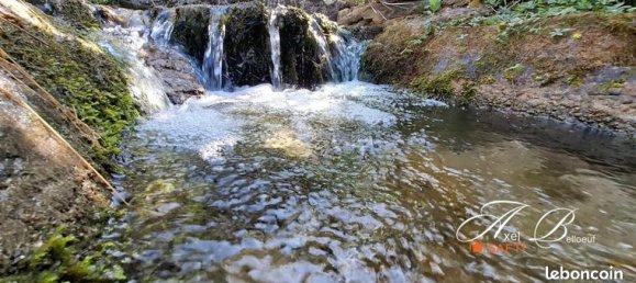 5 bedrooms House in Ain, France No. 310823 12