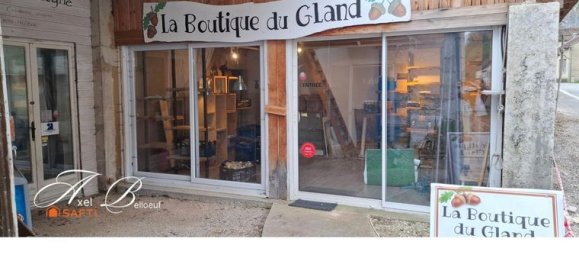 5 bedrooms House in Ain, France No. 310823 14