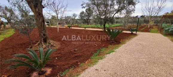 10-salle Villa à Presicce Acquarica, Italy No. 128579 22